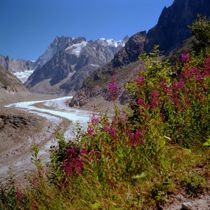 Mer de Glace en été