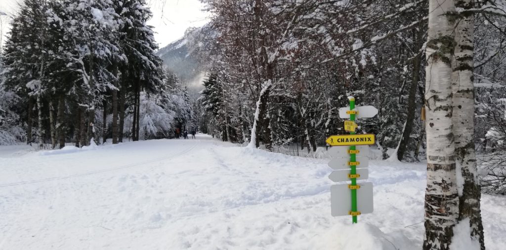 Ski fond bois bouchet